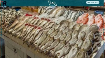 سعر البلطي في سوق القليوبية اليوم الأحد 14 ديسمبر 2025